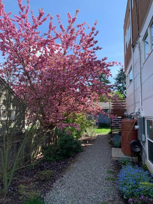 Leed Platinum Green Home Getaway Seattle Exterior photo